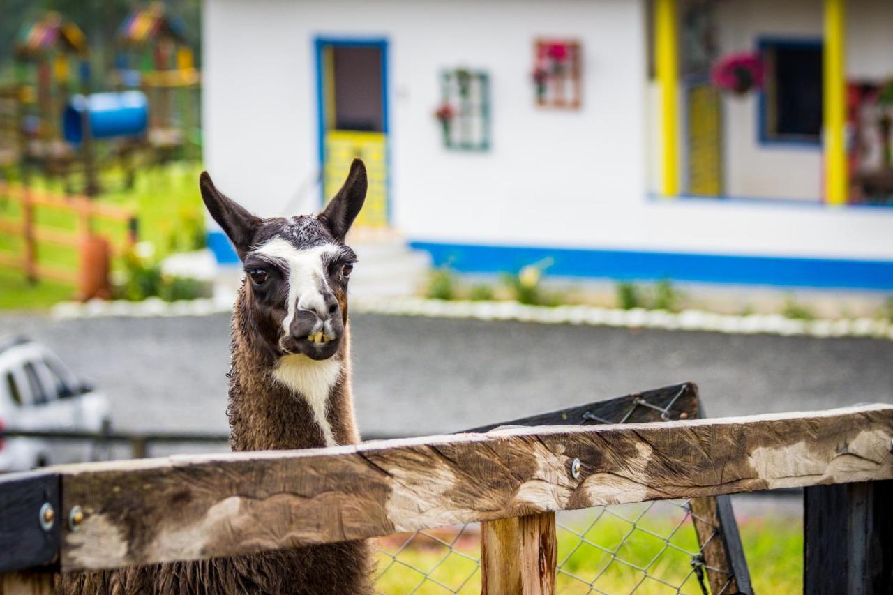 Hotel Bariloche Santa Rosa de Cabal Eksteriør billede